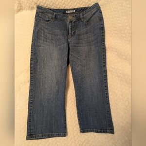 Lee Slender Secret Lower On The Waist Jeans Size 12 Petite